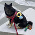 Squeak Plush Toy, Diamond Ring Case, Stuffed Pet Chew Soft Supplies Dog Toy for Dog Wedding