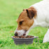 Rest-Eazzzy 2-Pack Silicone Collapsible Dog Bowls, Portable Travel Feeding Cup for Dogs and Cats (Grey, Pink, 600 ML).