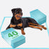 30"x26" (40 Count), DEEP DEAR Extra Large Dog Pads Thicker Pet Training and Puppy Pads, Super Absorbent Pee Pads