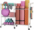 SINGAYE Dumbbell Rack and Balls Workout Equipment Storage Organizer with Hooks for Home Gym Storage