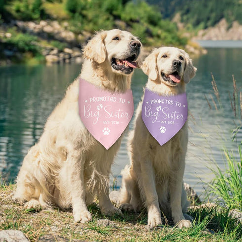 Luptiteuy 2 Pack 2026 Promoted to Big Sister Dog Bandana Pregnancy Announcement Gender Reveal Dog Outfit Baby