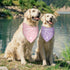 Luptiteuy 2 Pack 2026 Promoted to Big Sister Dog Bandana Pregnancy Announcement Gender Reveal Dog Outfit Baby