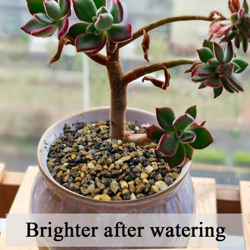 5lbs Aquarium Gravel, Pea Gravel for Indoor Plants, 1/4 Inch Decorative River Rocks for Fish Tank