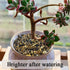 5lbs Aquarium Gravel, Pea Gravel for Indoor Plants, 1/4 Inch Decorative River Rocks for Fish Tank