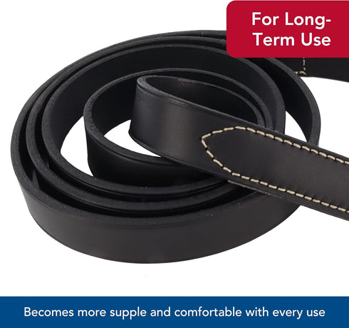 Coastal Pet Circle T Oak Tanned Leather Dog Leash - Durable Full-Grain Leather, Tan, 3/8" x 6'