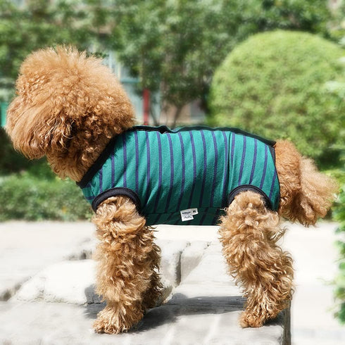 Dog’s Recovery Suit, Post Surgery Shirt for Puppy, Wound Protective Clothes for Little Animals (Green Black Stripe-M)