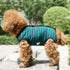 Dog’s Recovery Suit, Post Surgery Shirt for Puppy, Wound Protective Clothes for Little Animals (Green Black Stripe-M)