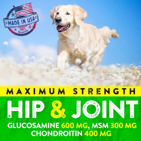 FURALAND 170 Hemp Hip and Joint Supplement for Dogs - Glucosamine for Dogs - Dog Joint Pain Relief Treats