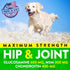 FURALAND 170 Hemp Hip and Joint Supplement for Dogs - Glucosamine for Dogs - Dog Joint Pain Relief Treats