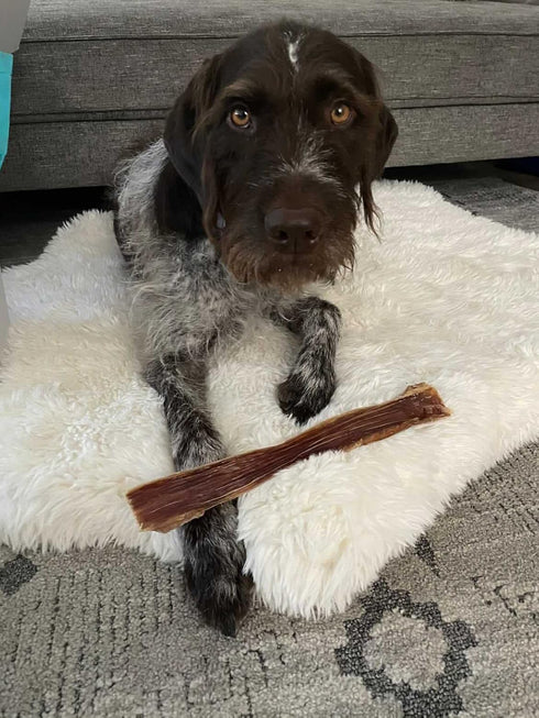 Beef Esophagus Dog Treats (6 INCHES) Grass Fed, No Added Hormone All Natural Jerky Chews, Rich in Glucosamine &