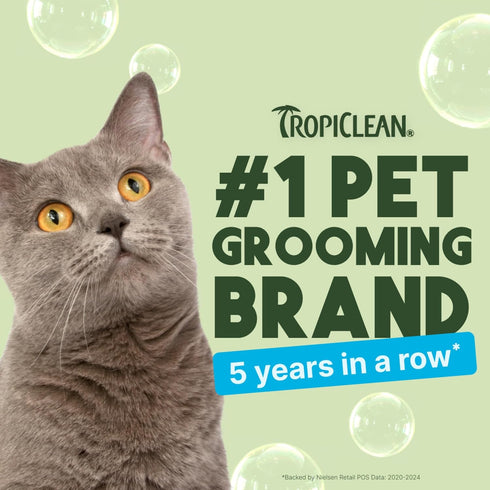 TropiClean No Rinse Waterless Cat Shampoo, Dandruff Treatment, Moisturizing Dry Shampoo, Aqua de Coco Scent