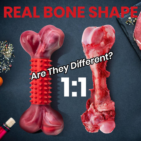 Apasiri Tough Dog Toys for Aggressive Chewers Large Breed, Chew Toys, Bones Made with Nylon and Rubber, Indestructible