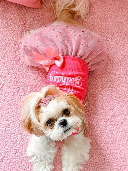Fitwarm It's My Birthday Dog Dress - Dog Birthday Dress with Bowknot, Clothes for Small Dog Girl, Funny Pet Outfit,