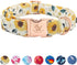 Elegant Little Tail Dog Collar - Sunflower Pattern, Durable Adjustable Cute Collar for Small Dogs, Summer Fall Gift.