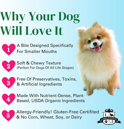Small Breed Dog Treats - Very Berry, 3oz, Soft & Chewy, Antioxidant Rich, Training & Little Rewards