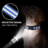 Martingale Collar for Dogs, Reflective Nylon with Quick Release Buckle, Adjustable No Slip Training Collar (Small, Blue)