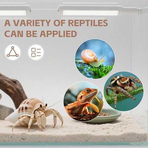 Hermit Crab Climbing Ladder & Wall Decor for Aquariums