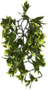 Exo Terra Plastic Terrarium Plant, Medium, Mandarin