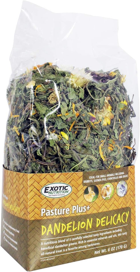Pasture Plus+ Dandelion Delicacy - Healthy High-Fiber Dried Flower Treat for Small Pets