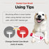 1ea JAYU PET Dental Care Brush (Soft Bristles) - Dog Toothbrush, Cat Toothbrush, Dental Care for Kitten and Small Dogs