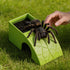 Generic Animal Habitat Dish - Purpose Reptile Bowl | Turtle and Small Creature Ornament with Integrated Shelter Perfect