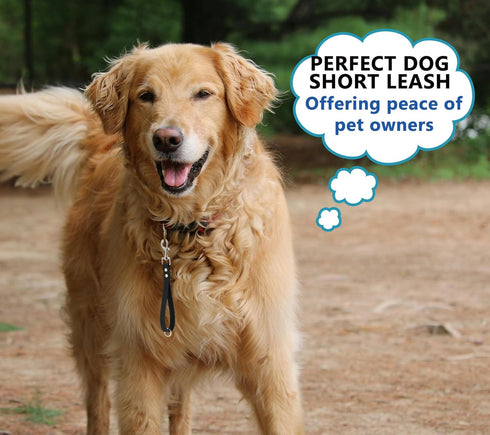 Heavy Duty Traffic Short Dog Leash - 9 Inch, 0.6 Inch Wide Waterproof PVC Dog Training Leash (Black, 9'')