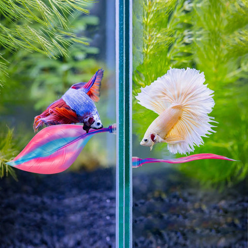 WILLBOND 2 Pieces Silicone Betta Bed Leaf Hammock - Comfortable Resting Spot for Betta Fish, No BPA, Pink