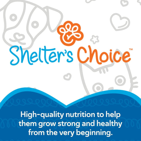 1 lb Revival Animal Health Shelters Choice Kitten Milk Replacer Powder, Complete and Balanced Milk Formula for Kittens