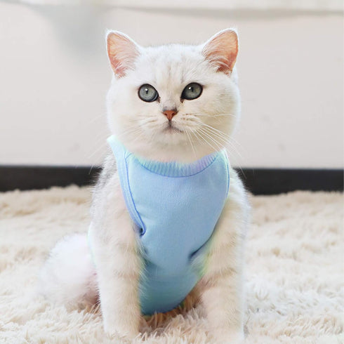 Kitten Onesies Blue S, Cat Recovery Suit for Abdominal Wounds, Anti Licking After Surgery Wear