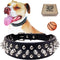 TEEMERRYCA Adjustable Microfiber Leather Dog Collars - Black Spiked Studded with Squeak Ball Gift for Small Medium