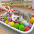 Funny Hedgehog Cage Accessories Enrichment Toys, Cute Sandbox and Ball Toys, Small Animal Accessories for Hedgehog