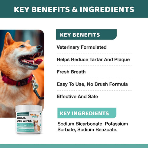 Dental Wipes for Dogs and Cats, No Brush Formula for Oral Hygiene, Fresh Mint Flavor, 100 Wipes