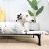 Veehoo Cooling Elevated Dog Bed, Portable Raised Pet Cot with Washable Mesh, Durable Dog Cots Bed for Indoor & Outdoor