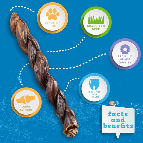 12" (5 Jack&Pup Braided Gullet Sticks for Dogs | Esophagus Dog Treats | Single Ingredient Beef Sticks Ct)