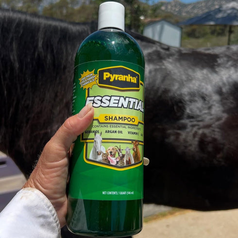 1 PYRANHA Essential Shampoo - Cleaning Refreshing Product for Horse, Dog, Cat & Show Animals with Coconut & Argan Oil