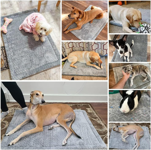 BEAUTYZOO Dog Crate Mat Pad, Soft High Resilience Foam, Anti-Slip Washable Mattress for Jumbo Extra Large Large Medium