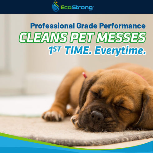 Pet Stain and Odor Remover - Cat Urine Enzyme Cleaner, 32 OZ for Dogs and Cats