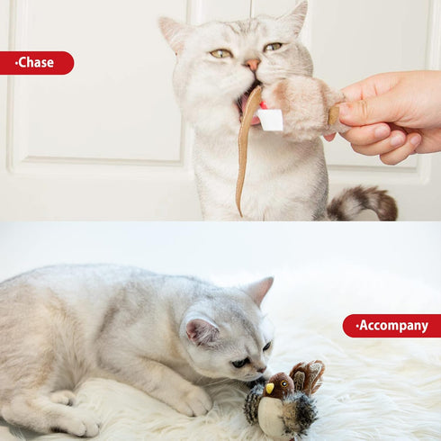 Gigwi Chirping Bird Cat Toy Set - Interactive Motion Activated Toy for Indoor Cats