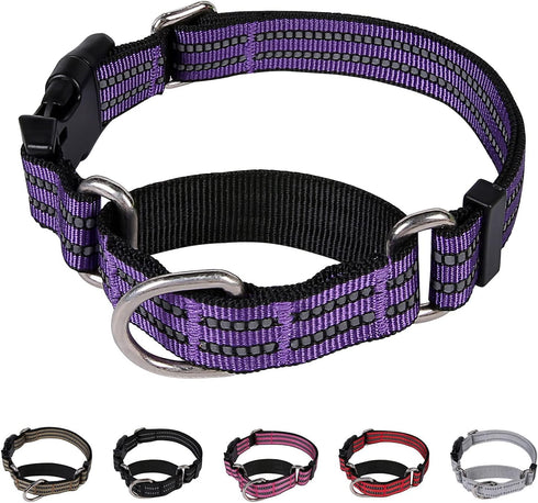 Reflective Nylon Martingale Collar for Dogs, Adjustable Quick Release No Slip Training Collar (Medium, Purple)