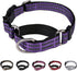 Reflective Nylon Martingale Collar for Dogs, Adjustable Quick Release No Slip Training Collar (Medium, Purple)