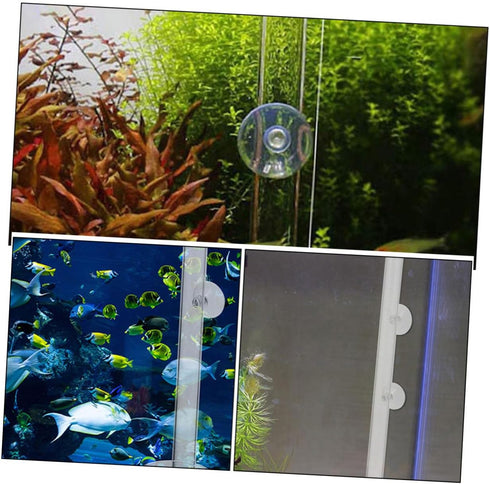 2.5cm 40cm Toyvian Acrylic Aquarium Fish Feeder with Diameter Feeding Column and Shrimp Feeding Dish Fish Tank Feeder