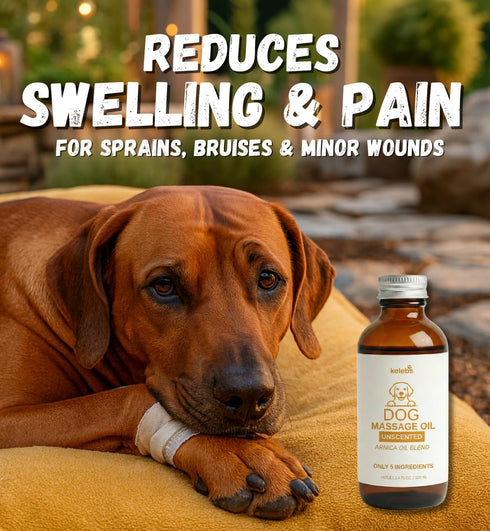 5 KELEBS Dog Arnica Massage Oil | Pain Relief for Muscles, Arthritis, Hips, and Joints | for Active & Senior Dogs |