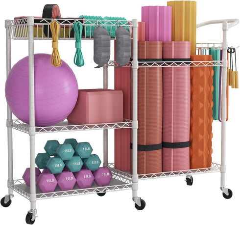 SINGAYE Dumbbell Rack and Balls Workout Equipment Storage Organizer with Hooks for Home Gym Storage