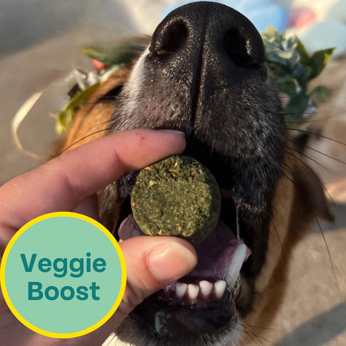 Plant-Based Spirulina Healthy Supplement & Dog Treat (5oz, 2-Pack) | Stop Grass Eating | Hypoallergenic, Chicken-Free Vegan Protein | Made in USA