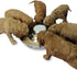 Stainless Steel Puppy Dog Bowls, Feeding Food and Water Dishes for Pets