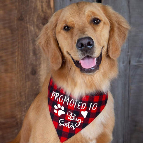 Promoted to Big Sister Red Plaid Dog Bandana, Gender Reveal Photo Prop for Pet Scarves