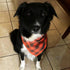 Dog Bandana Fall Large-Orange Brown Dog Scarf Buffalo Plaid Printing Adjustable Bib Handkerchief Accessories for Medium