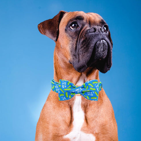 Elegant Little Tail Dog Collar - Dill Pickles Print Bow Tie Collar for X-Large Dogs