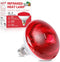 LUCKY HERP Infrared Heat Lamp for Chickens - 250 Watts Red Heat