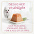 Fancy Feast Gems Pate Cat Food Mousse with Salmon and Savory Gravy - 4 oz. Boxes (Pack of 8)